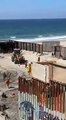 Perrito junto con migrantes cruzan ilegalmente a Estados Unidos por muro de Playas de Tijuana