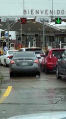 Gaviota provoca pelea durante cruce fronterizo