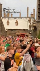 Rinden tributo a Michael Gambon en Universal Studios Florida