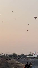 Địa điểm thả diều lý tưởng mà quý Cha Mẹ nên dẫn bé đến 1 lần sẽ thích ngay