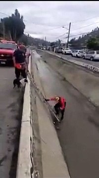 Rescatan a perritos atrapados en canal de Tijuana