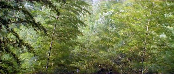 Crouching Tiger, Hidden Dragon 🎬 - Epic Martial Arts Adventure & Intrigue