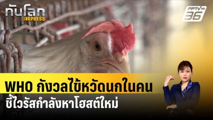 WHO กังวลไข้หวัดนกในคน ชี้ไวรัสกำลังหาโฮสต์ใหม่| ทันโลกEXPRESS | 19 เม.ย. 67