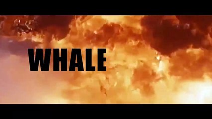 Sharktopus vs. Whalewolf - Tráiler