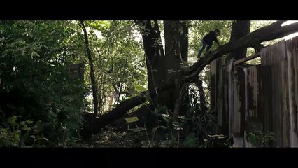 Manto Acuífero Trailer Oficial