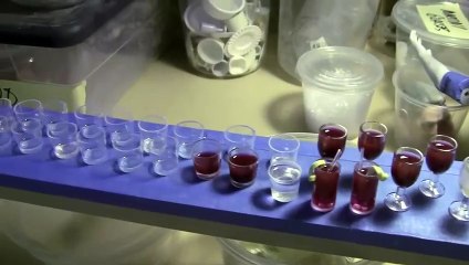 Anomalisa- Clip detrás de cámaras