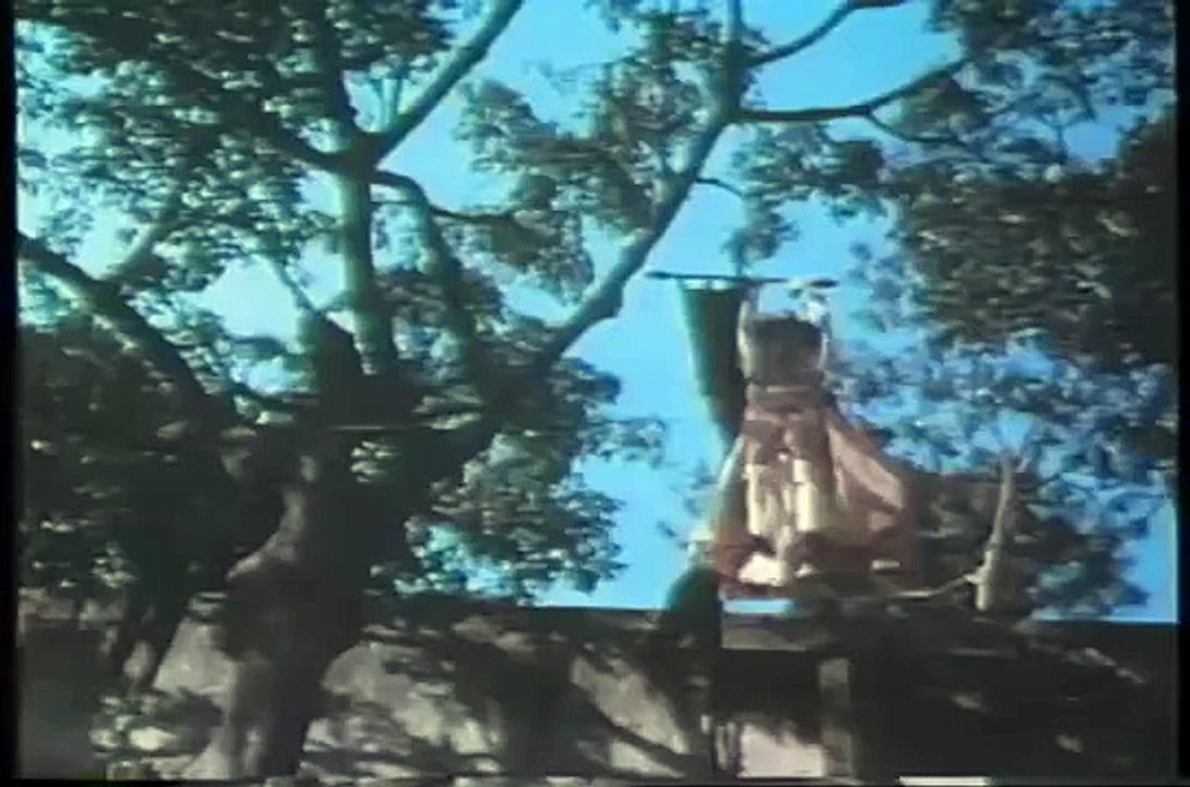 Zorro: The Gay Blade