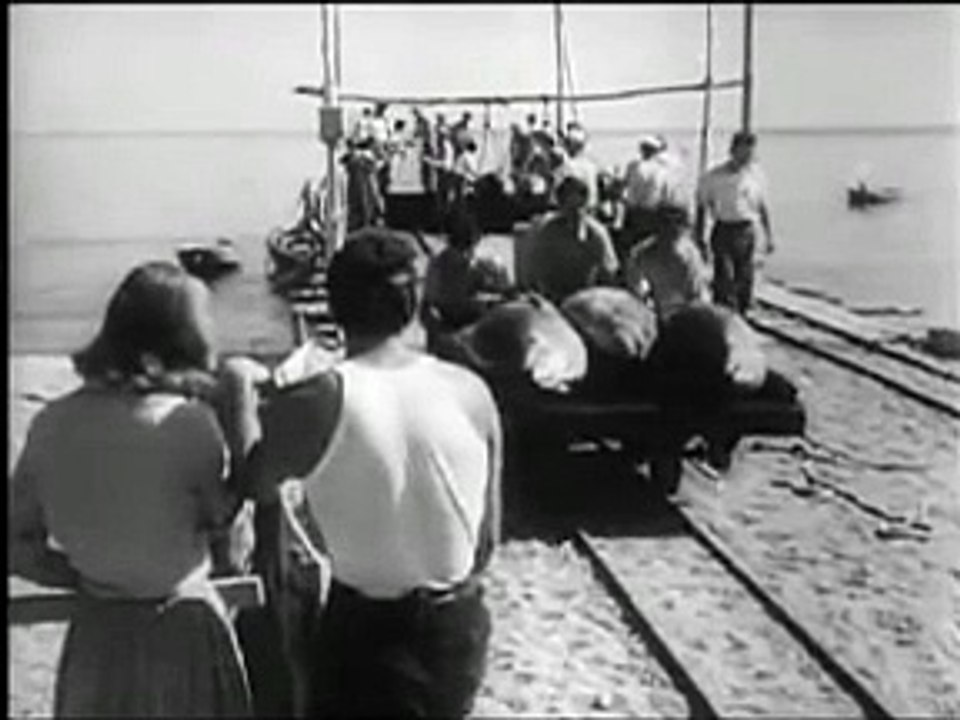 Stromboli - Clip