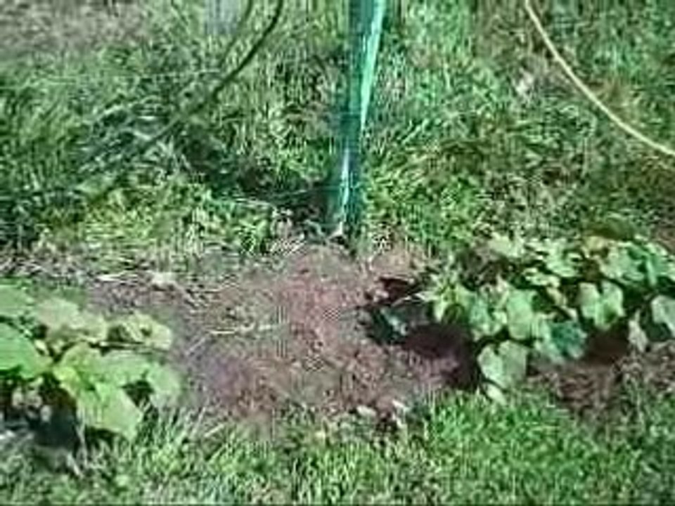 KERDU LE 08 04 08 003 - AUTOUR DE CHEZ NOUS -