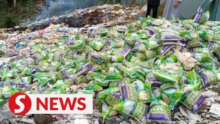 Former Kuala Krau MP admits to dumping mounds of rice, food items