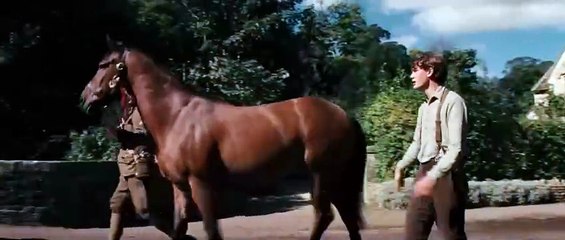 Caballo de Guerra - Trailer Oficial Subtitulado