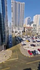 Abu Shagara, Sharjah: A Neighborhood Guide