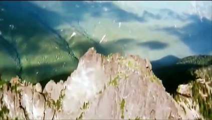 Grizzly Man - Tráiler