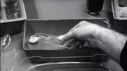 Viaje al Fin del Universo - Trailer