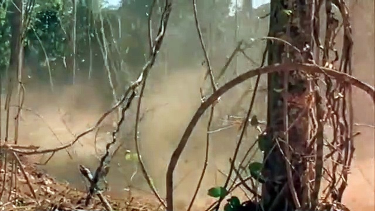 Perdido en el Amazonas - Tráiler