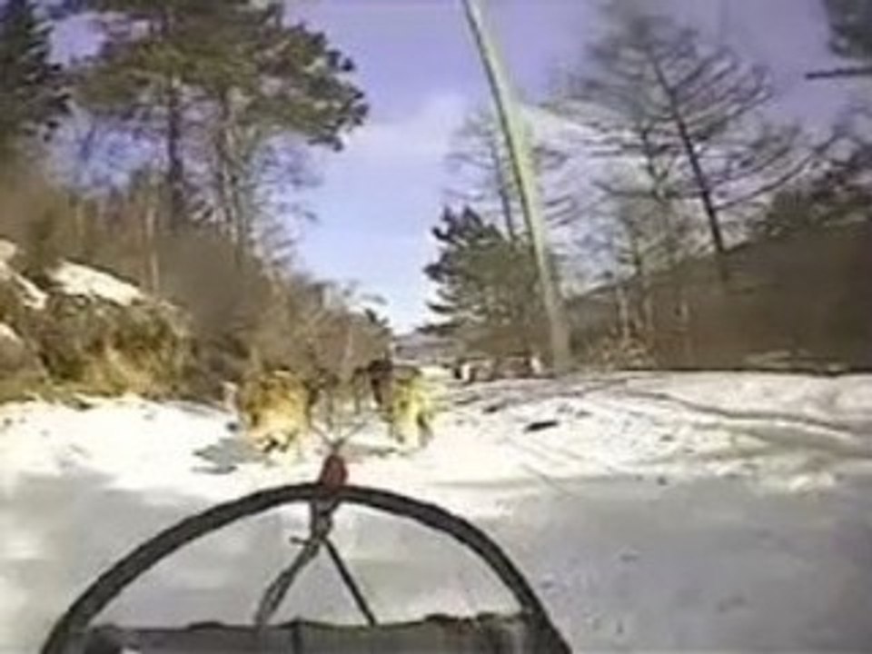 Lac Baïkal en traîneau