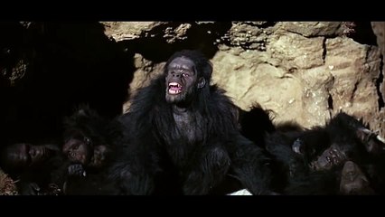 Exposición Stanley Kubrick