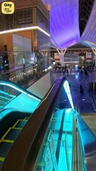 Only Solution to a Happy Life || Acharya Prashant