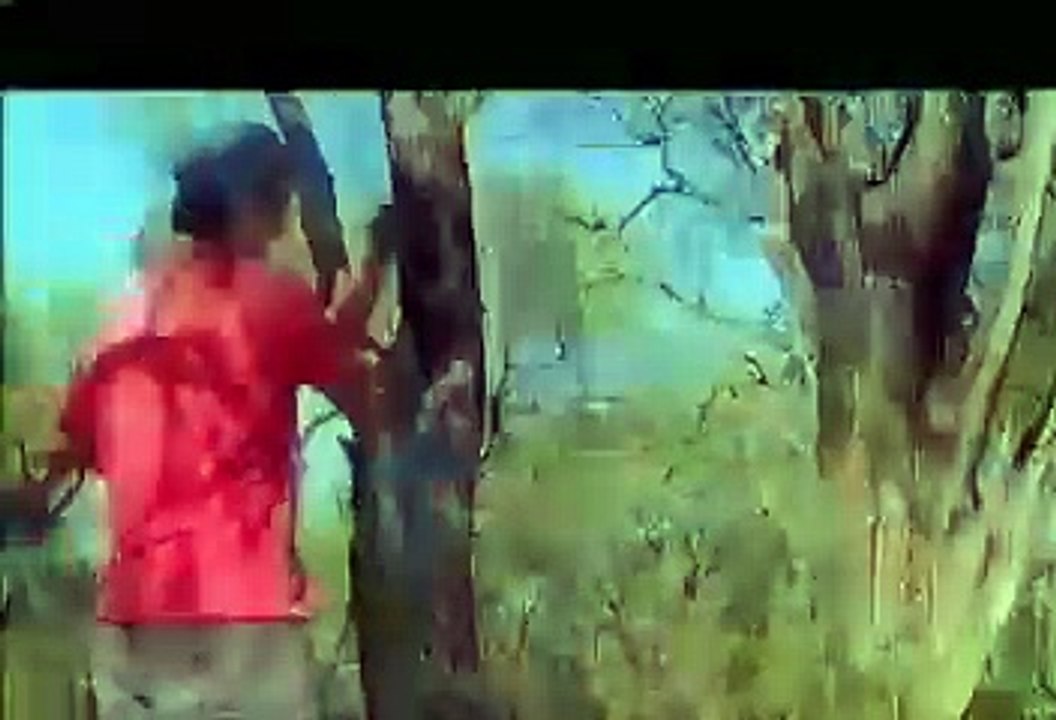 La Libertad - Tráiler