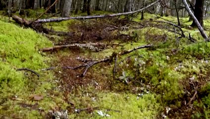 Frontier - Tráiler Oficial