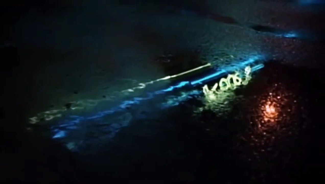 Scary Love - Teaser