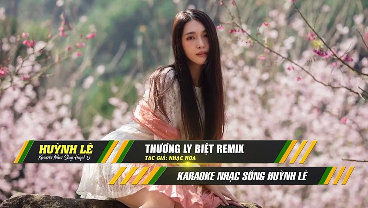 Thương Biệt Ly Karaoke Tone Nữ Remix | Nhạc hoa lời việt