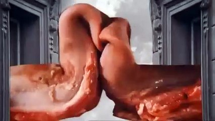 Sobrevivir a la Vida, Teoría y Práctica - Tráiler