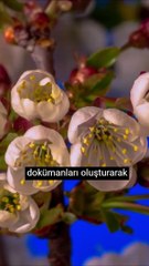 Niximera Yazılım ile Yatırımınız Güvende