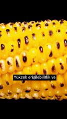 Niximera - Kurumsal Mimari