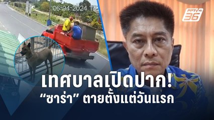 หมาซาร่า ตายแล้ว! จนท.เทศบาลสารภาพทำสิ้นใจก่อนนำร่างไปทิ้งหนีผิด ! | PPTV Online