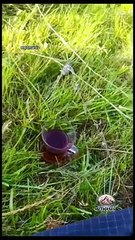 Van Gevaş Metmanis Doğası çok Güzel