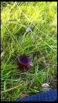 Van Gevaş Metmanis Doğası çok Güzel