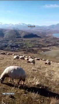 Van Gevaş Dokuz Ağaç Köyü'nün Eşsiz Manzaraları