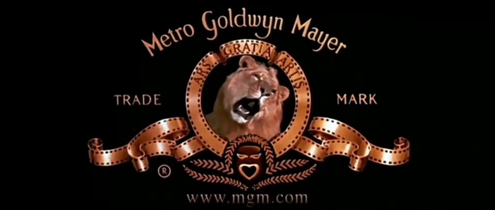 Wild At Heart - intro