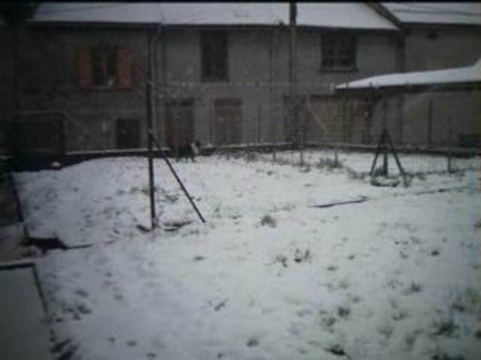 Buzz dans la neige