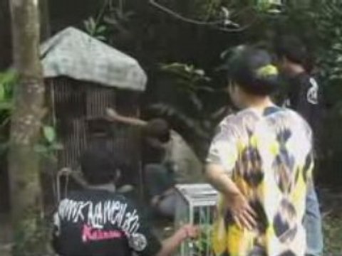 Ep 1 Partie 4 Les Missions de Chanee, Kalaweit