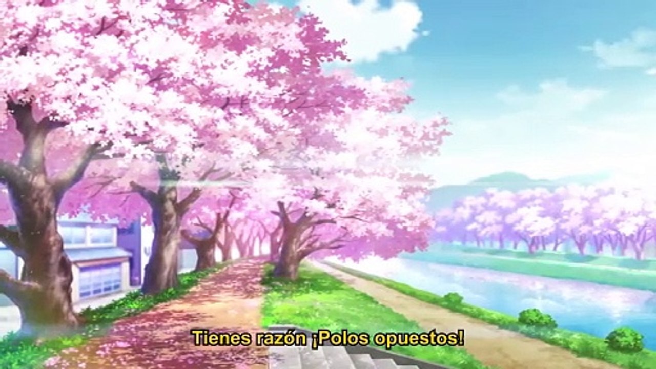 Me Quiero Comer tu Páncreas