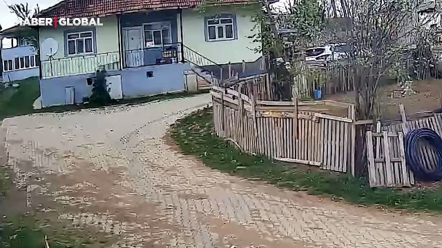 Tokat'ta depremi önceden hisseden tavuğun kaçıp saklandığı anlar sosyal medyada gündem oldu