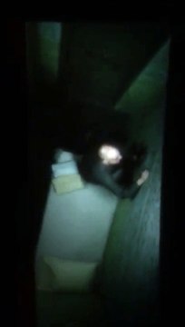 ¡Shazam! - Escena post-créditos filtrada