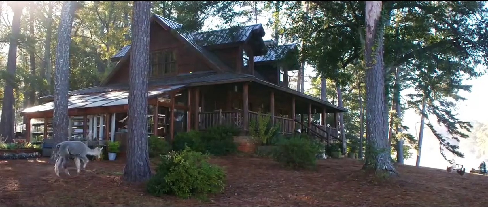 Avengers: Endgame - Escenas eliminada donde Rocket se burla de los Vengadores