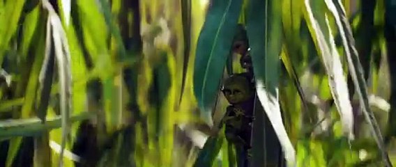 Maleficent: Mistress of Evil | Tráiler oficial