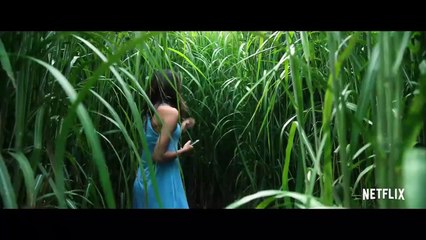 In the Tall Grass - Tráiler oficial