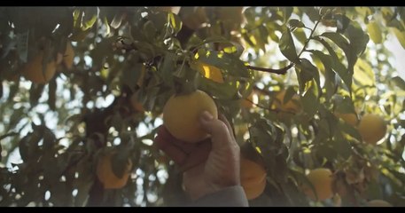 Lupe Bajo el Sol - Tráiler oficial