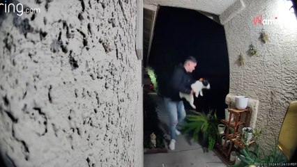Le livreur prend une photo du chat devant la porte d'entrée : en l'espace d'une seconde la scène vire au drame (vidéo)
