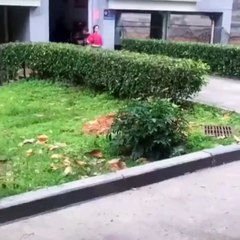 Do you think it’s worth learning 3,000 dance moves?