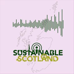 Sustainable Scotland: Supporting SMEs to reach net zero