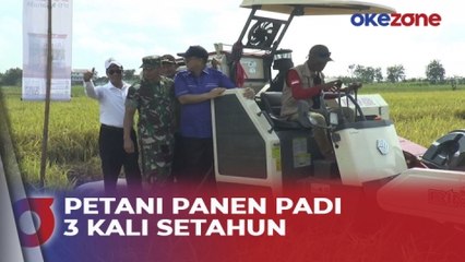 Antisipasi Dampak El Nino, Mentan Genjot Program Pompanisasi di Lamongan