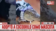 Adoptó un cocodrilo como mascota y generó polémica en las redes