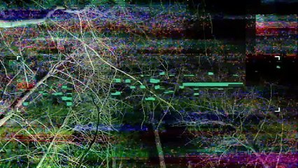 Grita, te estamos filmando, temporada 1 | Tráiler oficial subtitulado