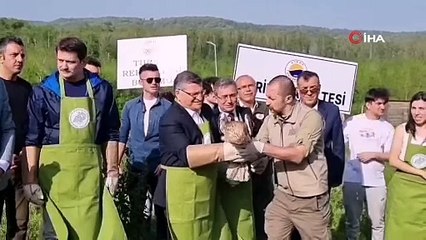 Sinop'ta tedavisinin ardından Valinin doğaya saldığı kartal kadına saldırdı